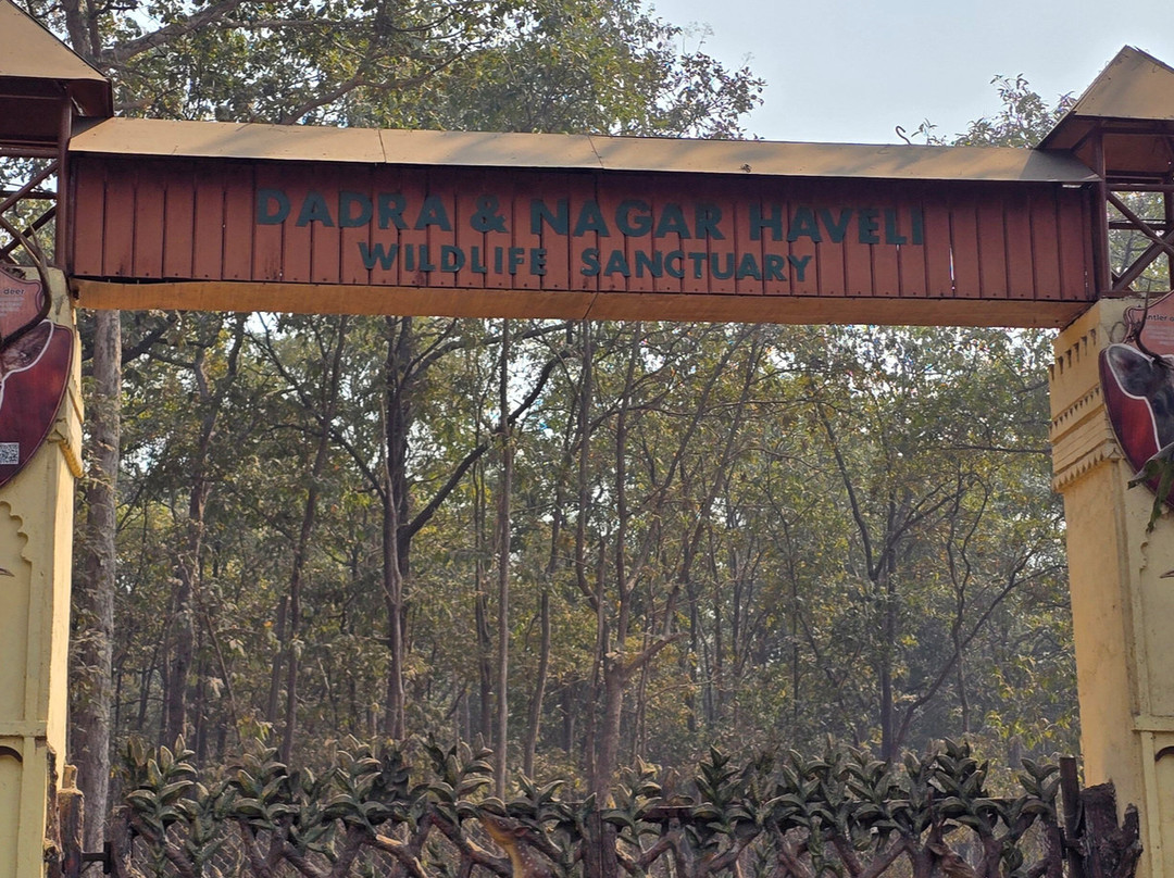 Deer Park-锡尔瓦萨必去景点