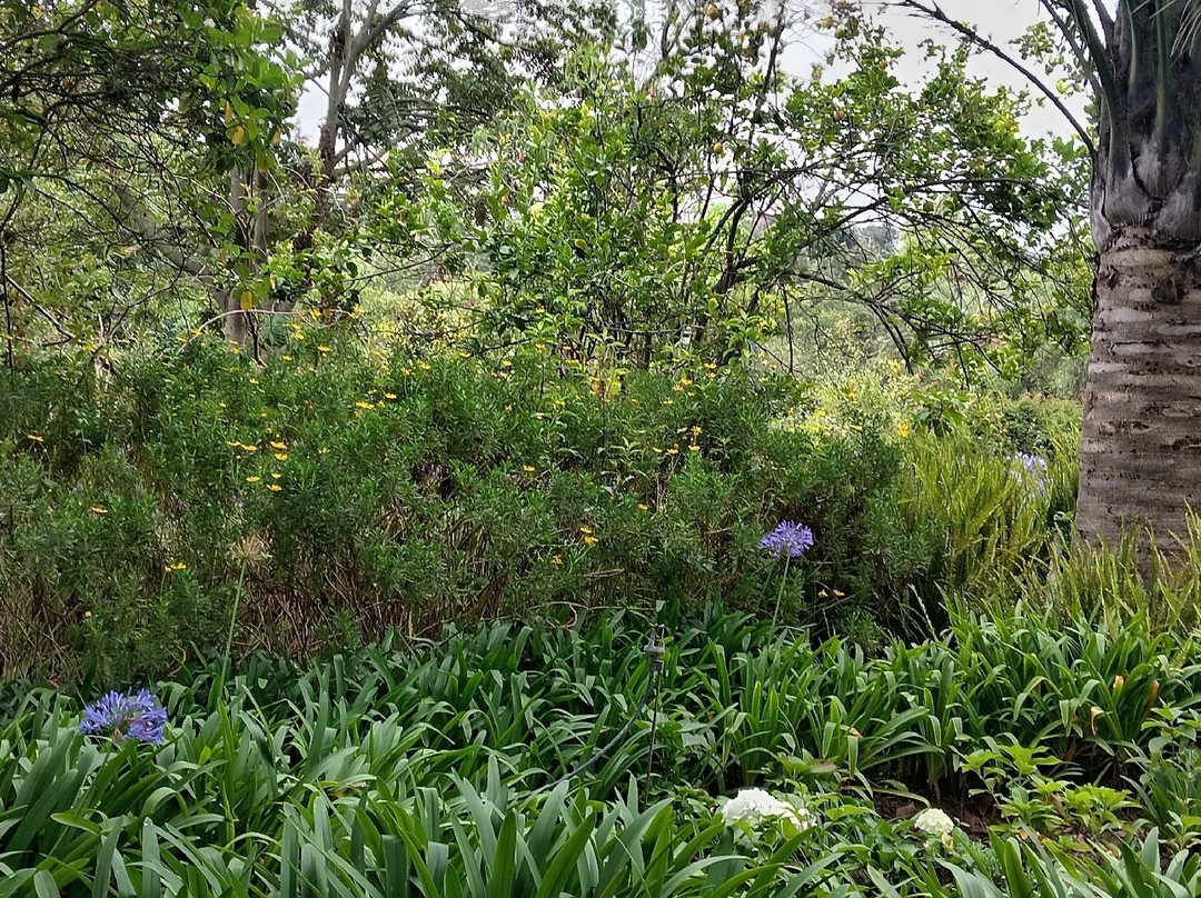 La Quinta de Juan León Mera景点图片