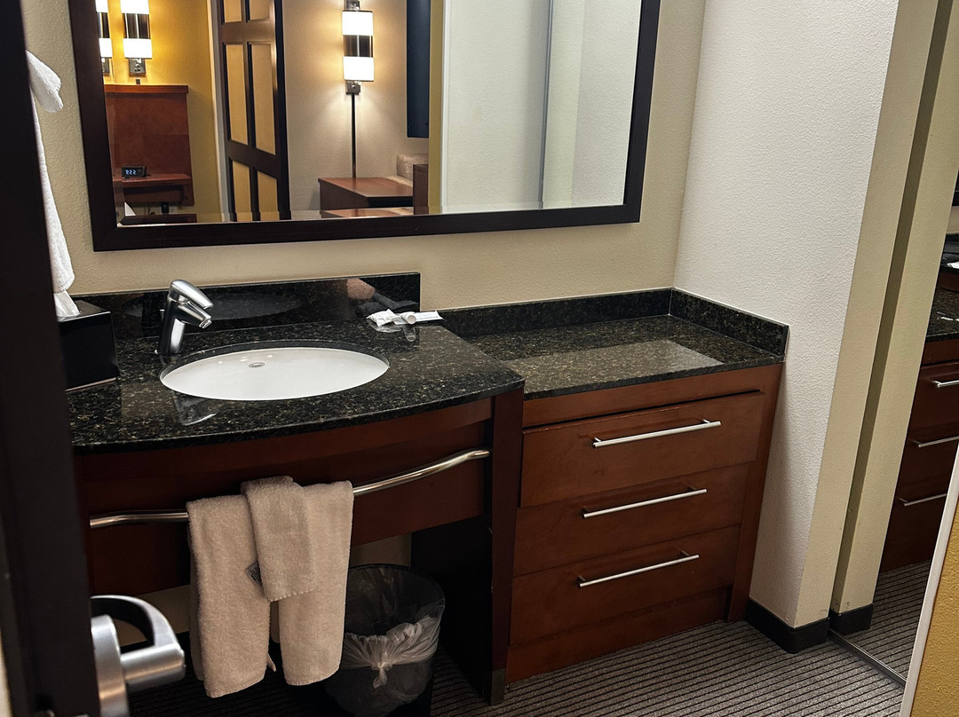 圣地亚哥卡尔斯巴德凯悦广场酒店主图