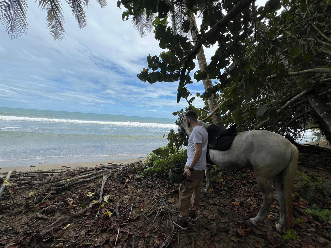 Caribe Horse Riding Club景点图片
