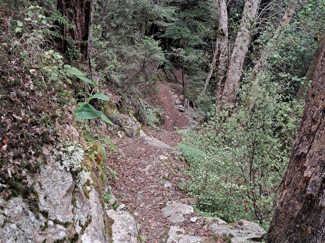 The Gorge Mountain Bike Park景点图片