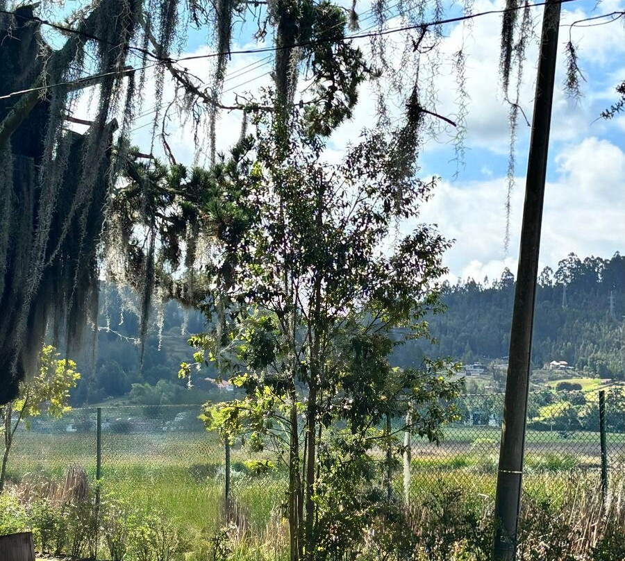 Hotel Lanceros Colsubsidio主图