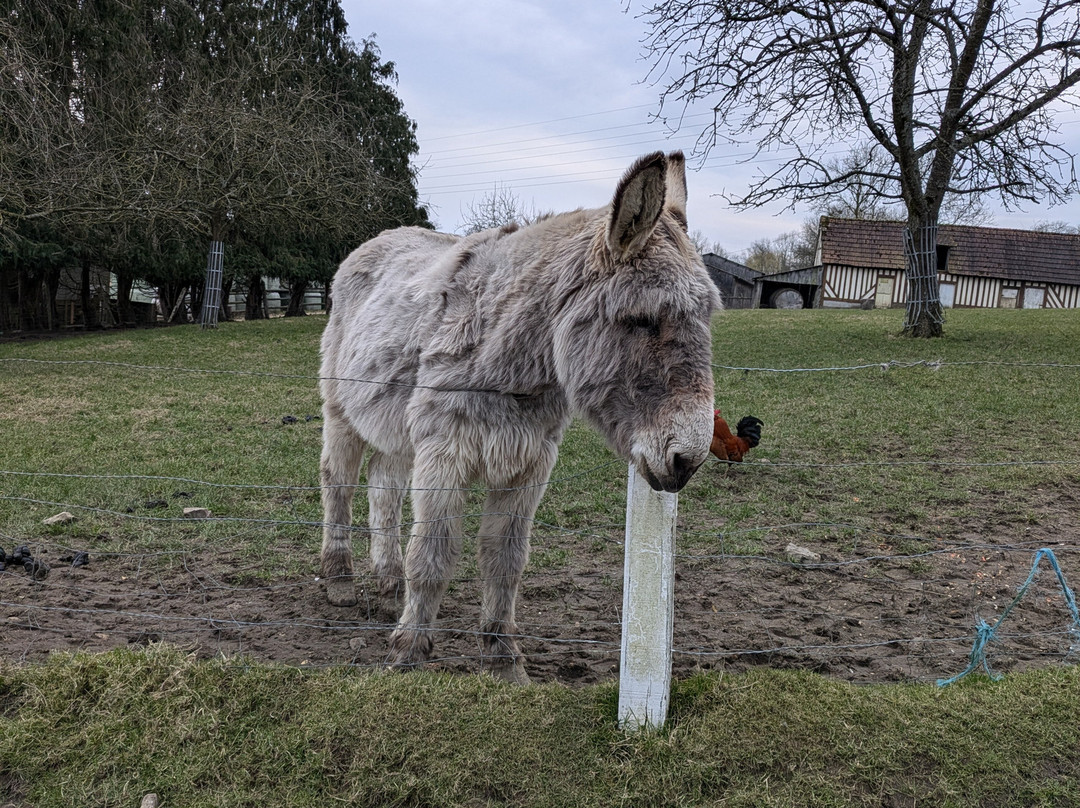 Ferme Pédagogique du Lieu Roussel景点图片