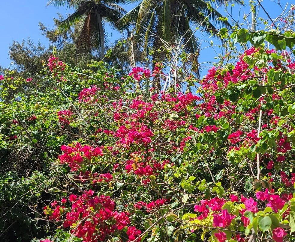 Montones Beach-Isabela必去景点