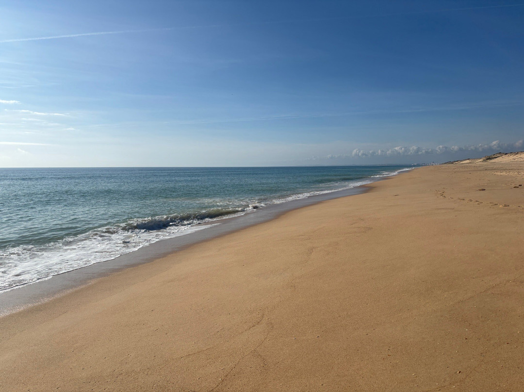 Four Seasons Country Club主图