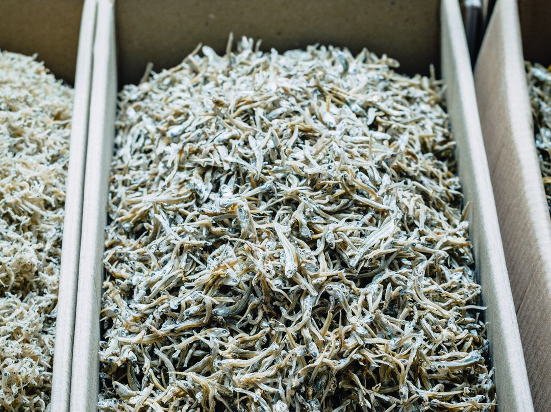 Yeosu Fish Market-丽水市必去景点