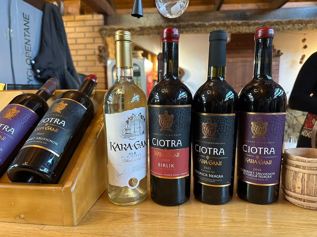 Kara Gani Winery-Vulcanesti必去景点