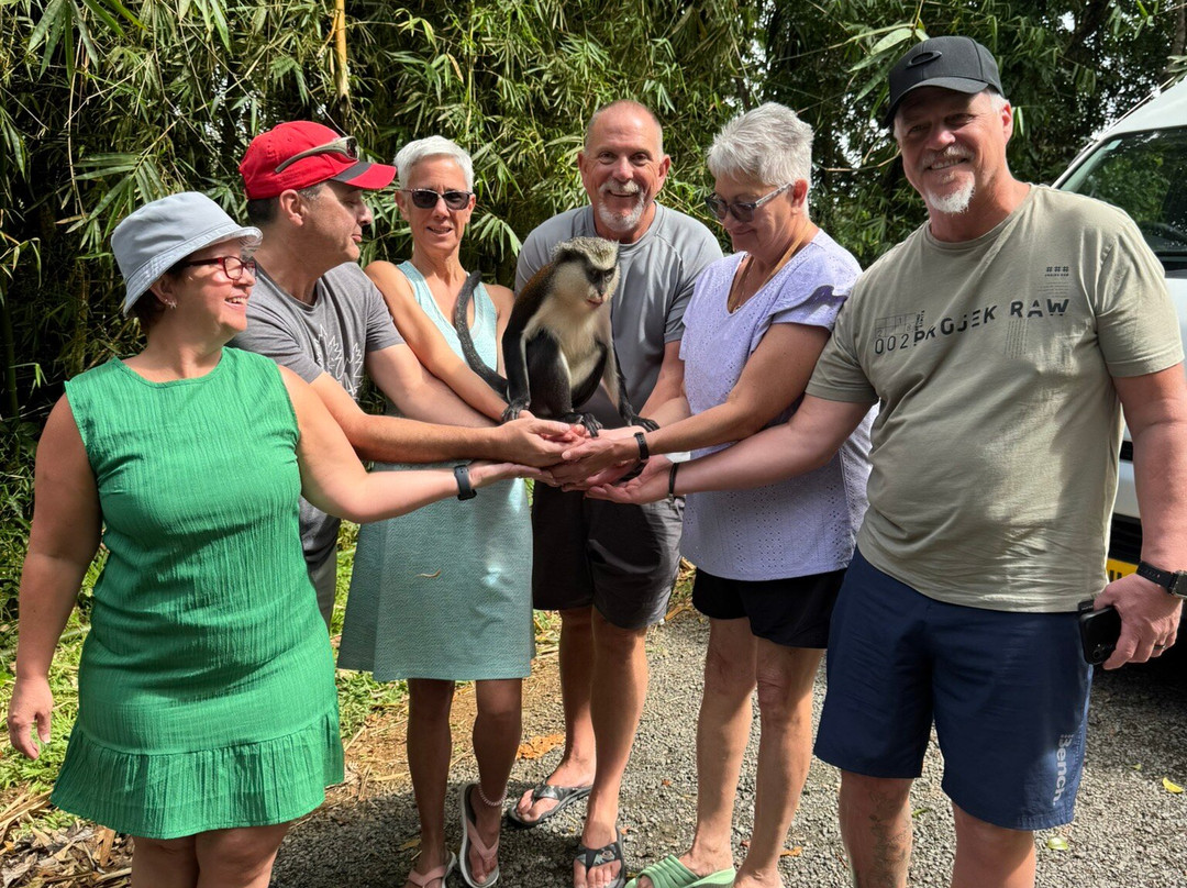 JnJ Tours-St. George's必去景点