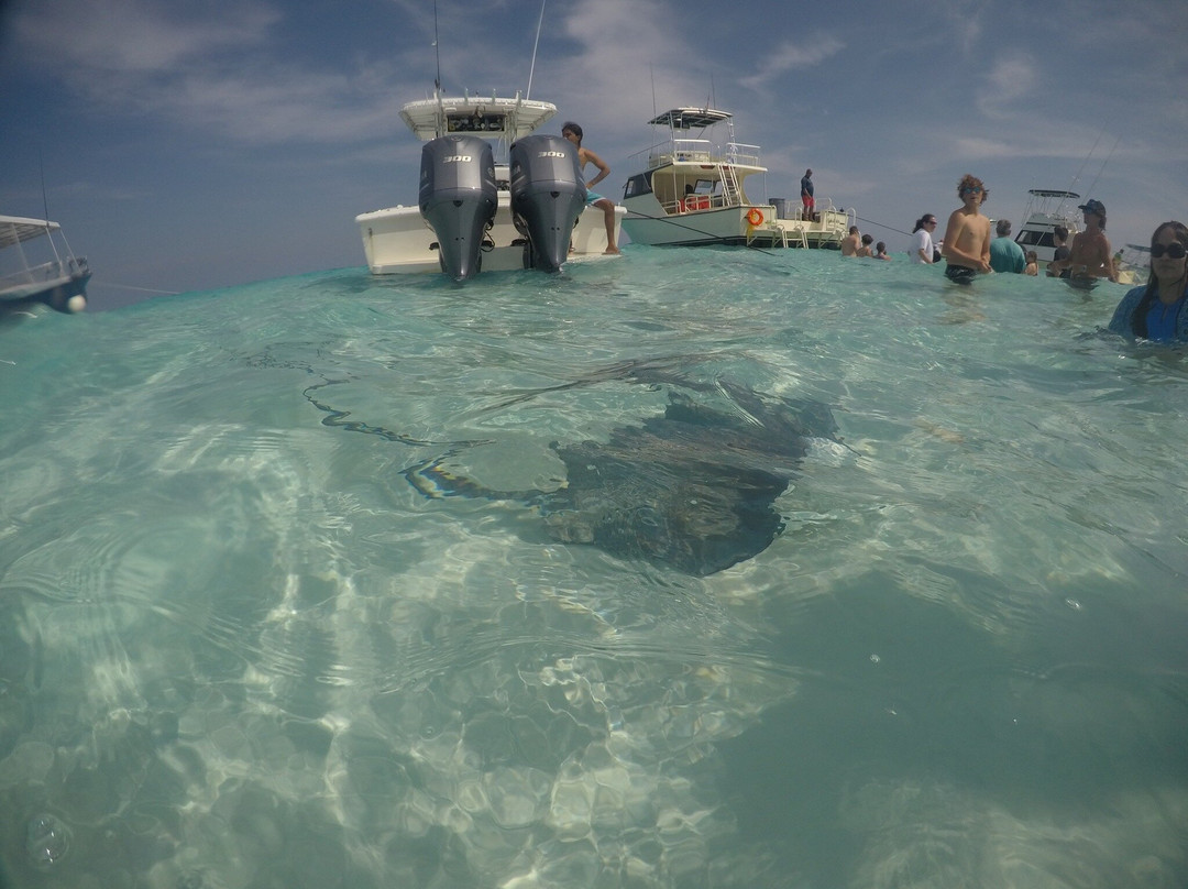Blue Haven Charters-Rum Point必去景点