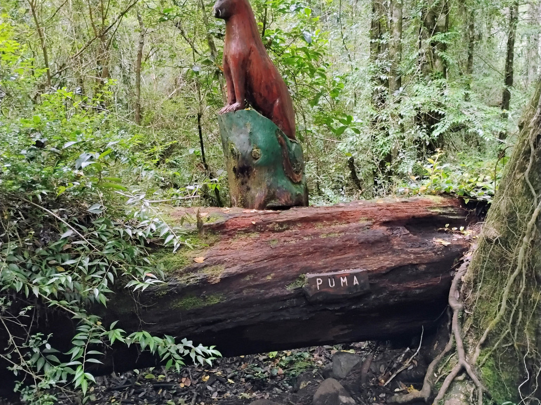 Piedra del Indio-Coyhaique必去景点