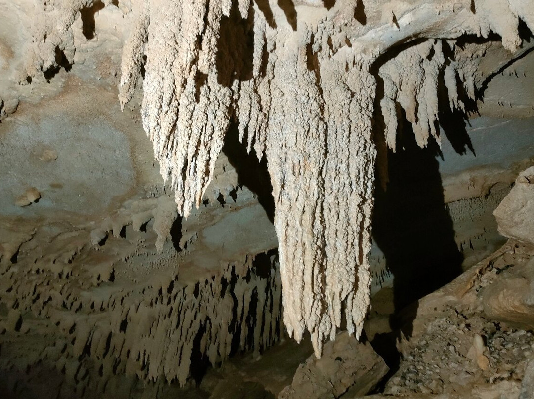 Milky Way Glowworm Cave - Waipu景点图片