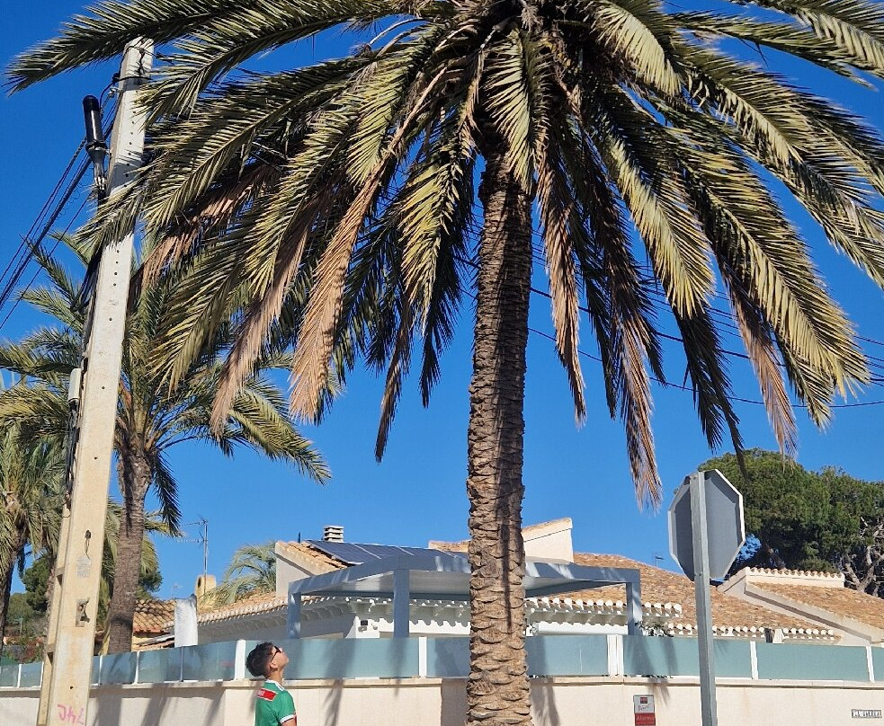 Playa Cala Capitan-Punta Prima必去景点