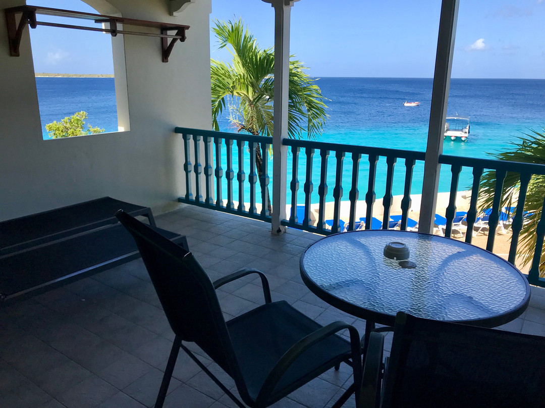 Captain Don's Habitat主图