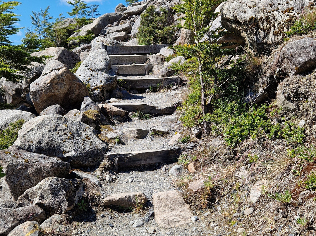 Bernardo O'Higgins National Park-纳塔莱斯港必去景点