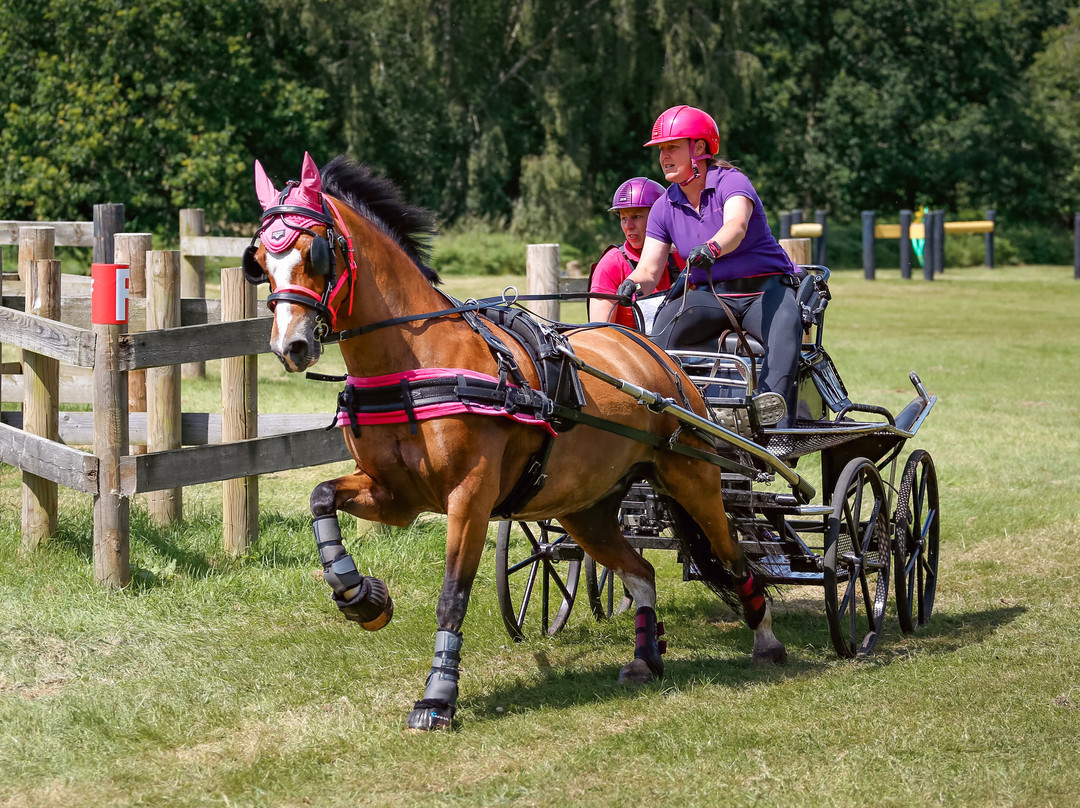 Sandringham Festival Of Carriage Driving 2025-Sandringham必去景点