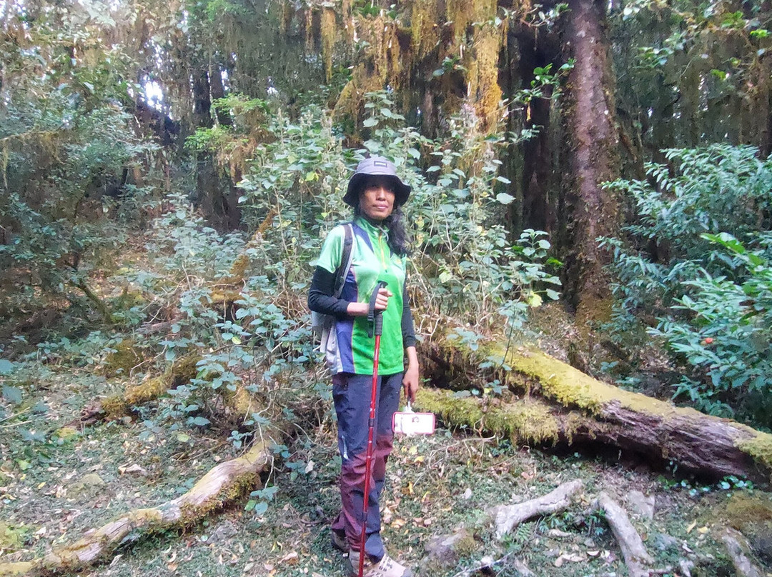 Lembah Ramma景点图片
