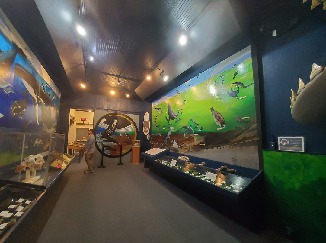 Aurora Fossil Museum景点图片