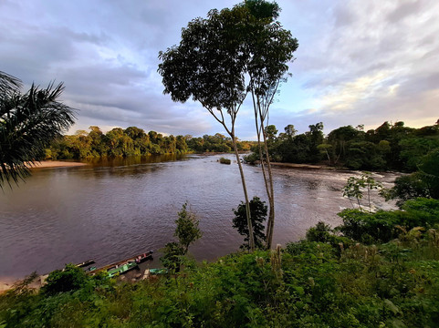 Inside Suriname Tours-帕拉马里博必去景点