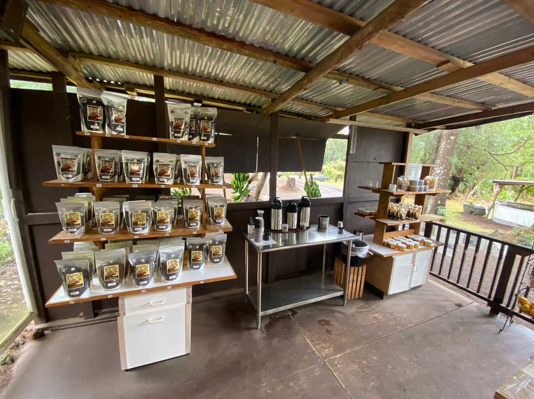 天堂草场-纳勒胡必去景点