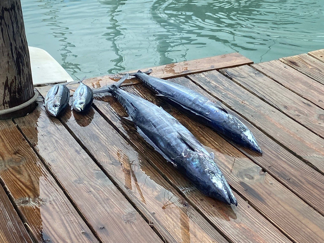 Mystic Amara III - Deep Sea & Bottom Fishing Charters-Jolly Harbour必去景点