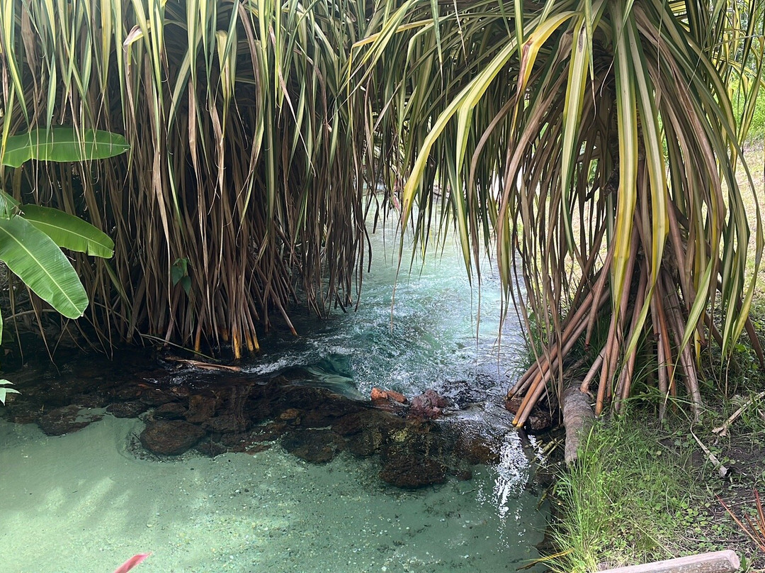Tao Paradise景点图片