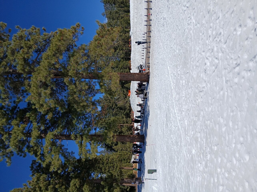 South Lake Tahoe Ice Arena-南太浩湖必去景点