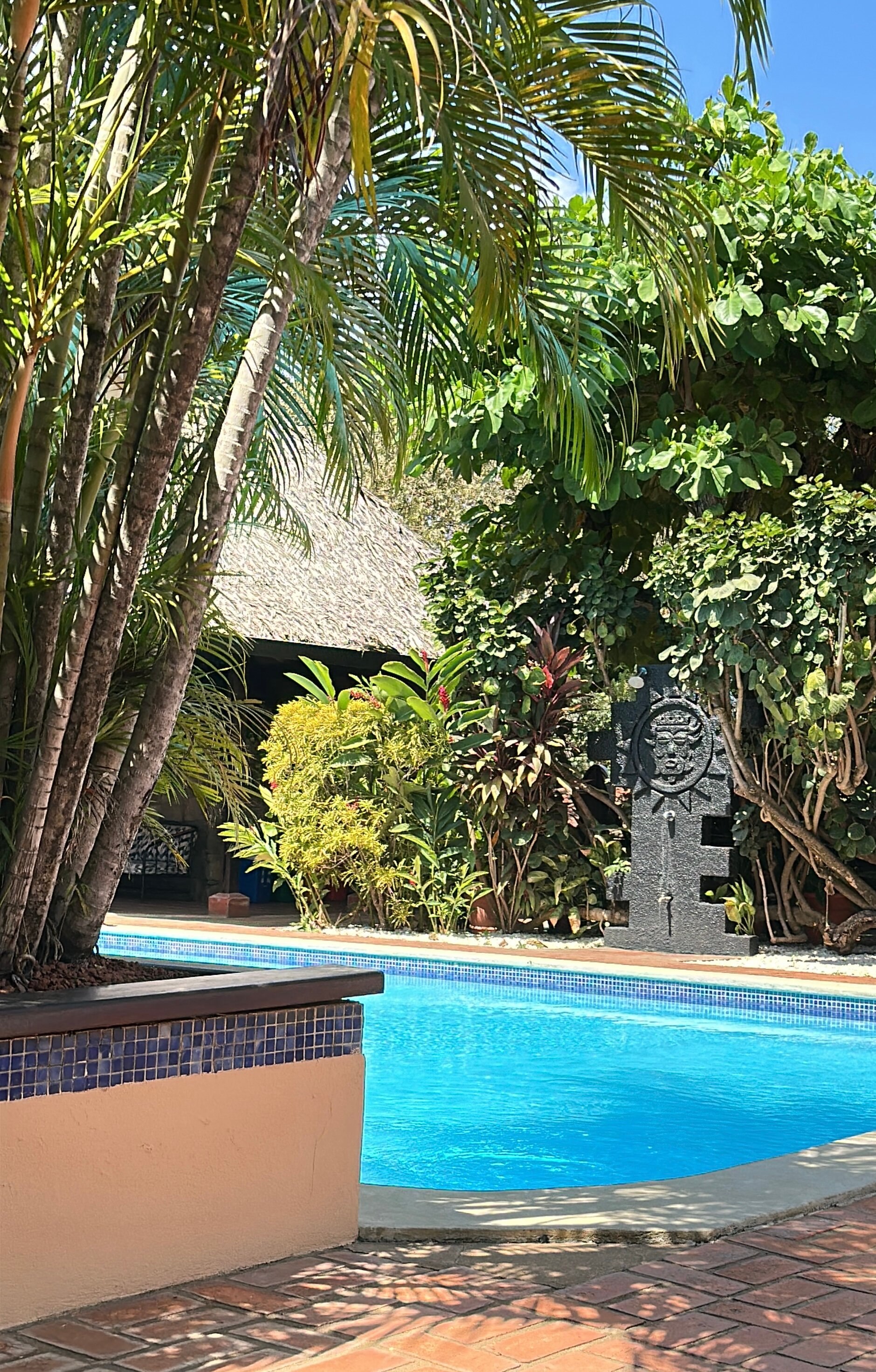 Hotel Villa Del Sueno-泳池