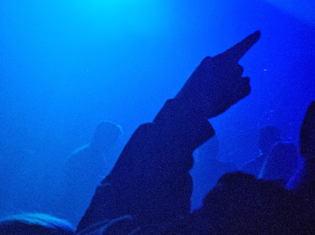 Catalyst-圣克鲁斯必去景点