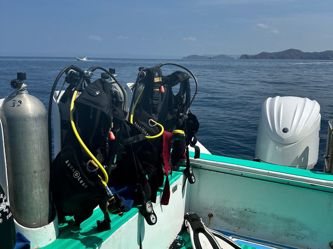 SCUBA Diving at Summer Salt Dive Center景点图片