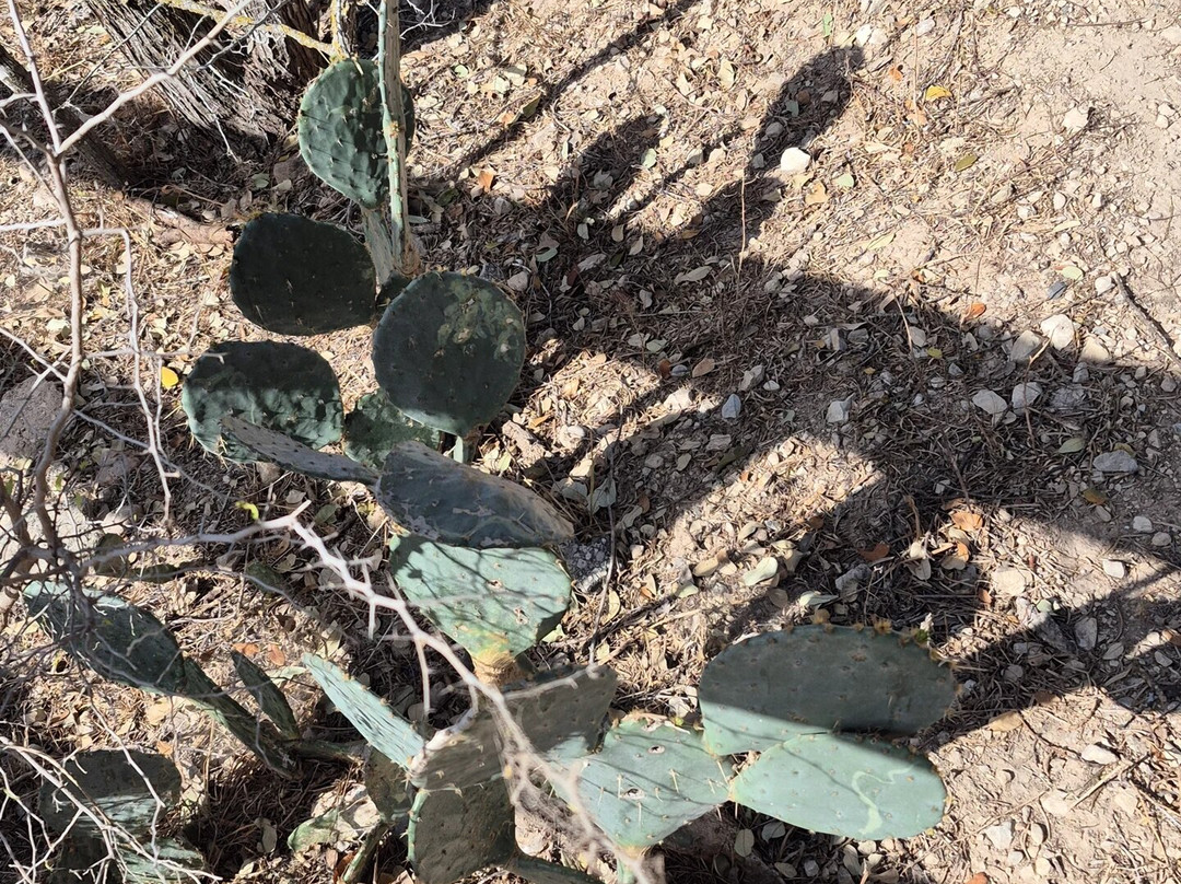 Cooks Slough Nature Park!