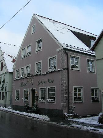 Hotel Goldene Rose主图