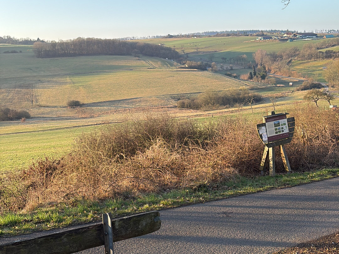 Ferienpark Frankenau主图