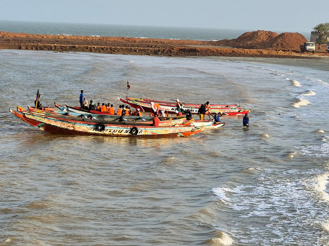Buba's Gambia - Tours景点图片