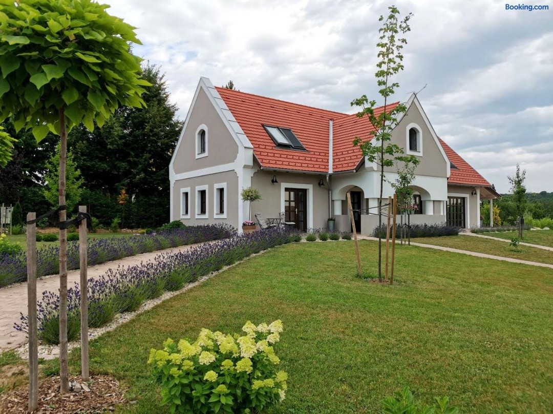 Villa Tilia Vaszoly