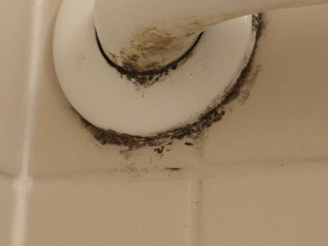 底特律南菲尔德万怡酒店主图