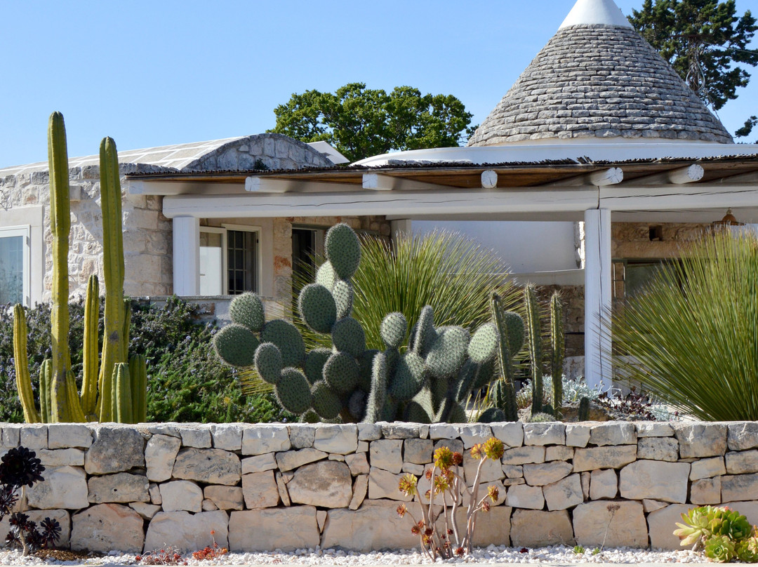 Regina di Ulivi主图