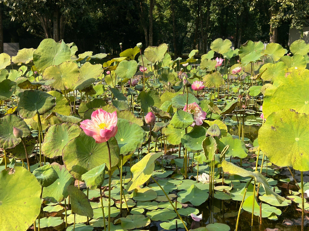 Borobudur Sunrise-Sleman必去景点