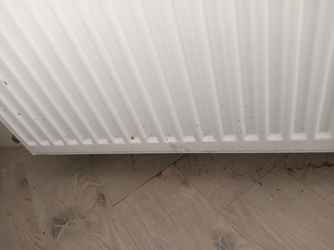 De Gulden Waagen主图