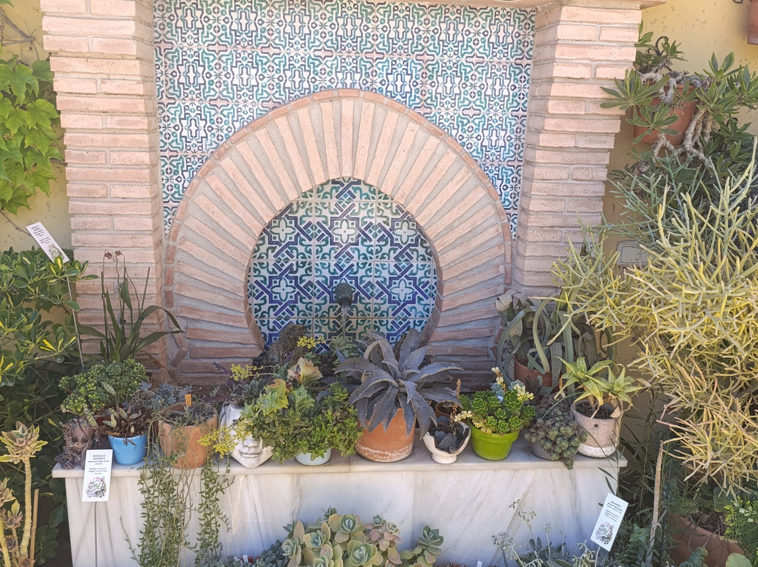 La Almunya del Sur Botanical Garden景点图片