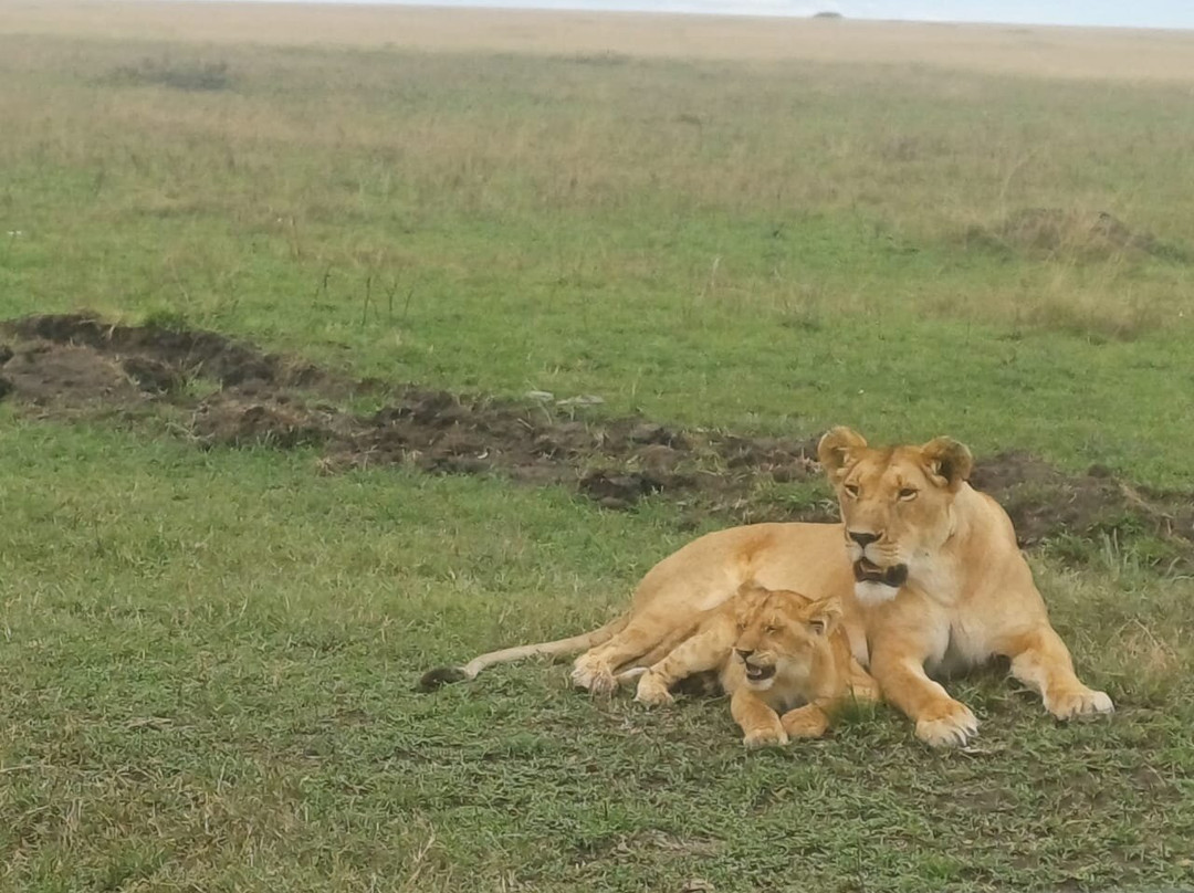 Genesis of Adventure-内罗毕必去景点