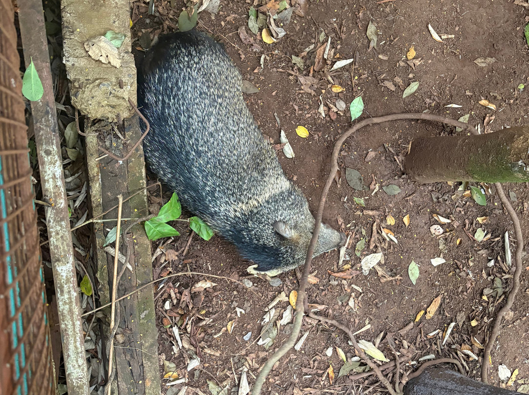 Bio Centro Iguazu-伊瓜苏港必去景点