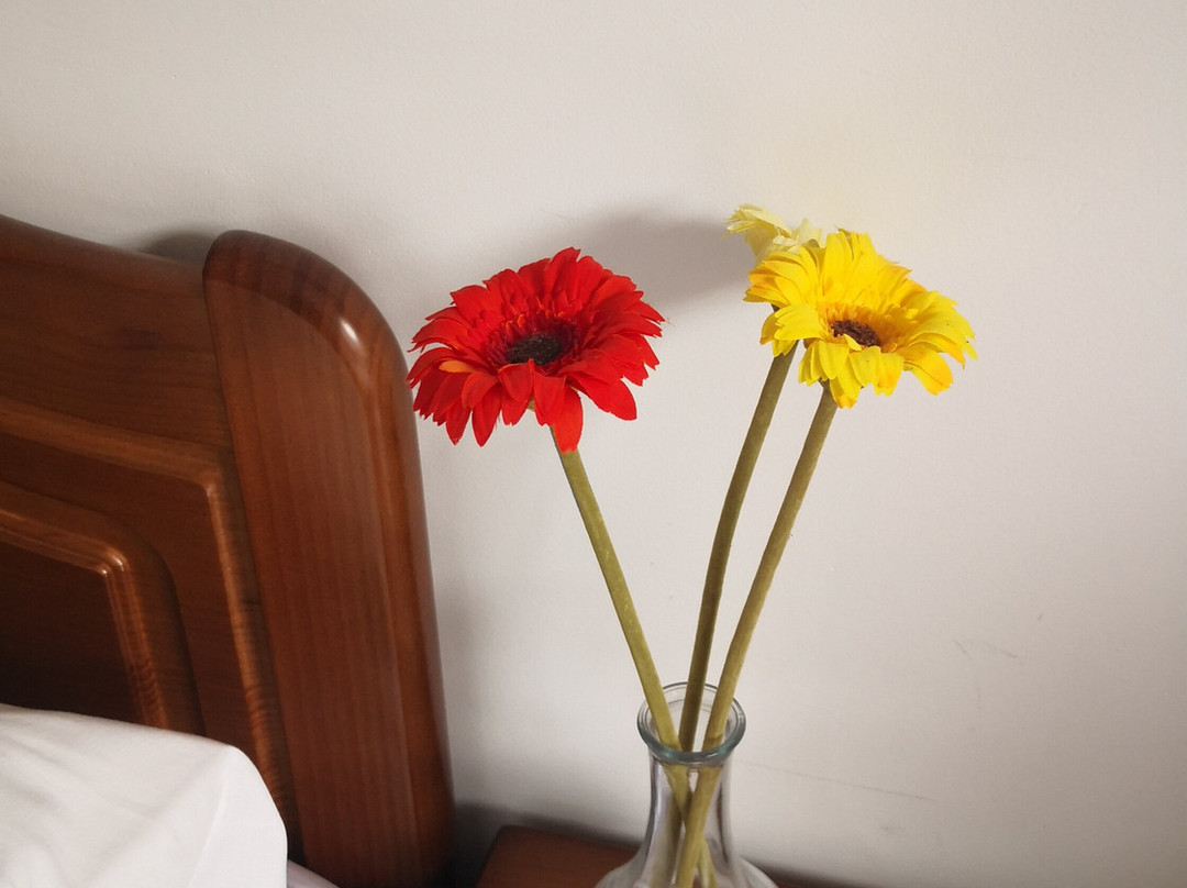 Casa rural Gerardo主图