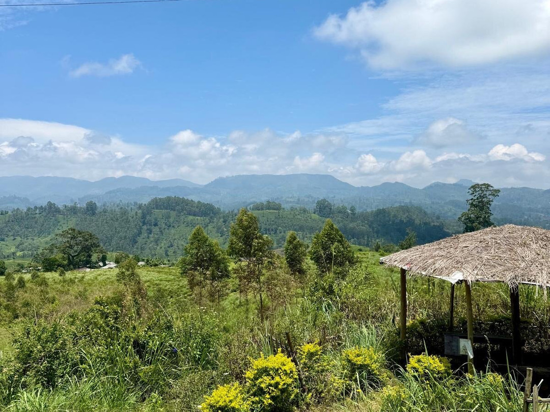 The Ella Odyssey Train-康提必去景点