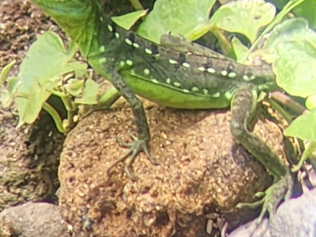 Prime Tours Costa Rica-利比里亚必去景点