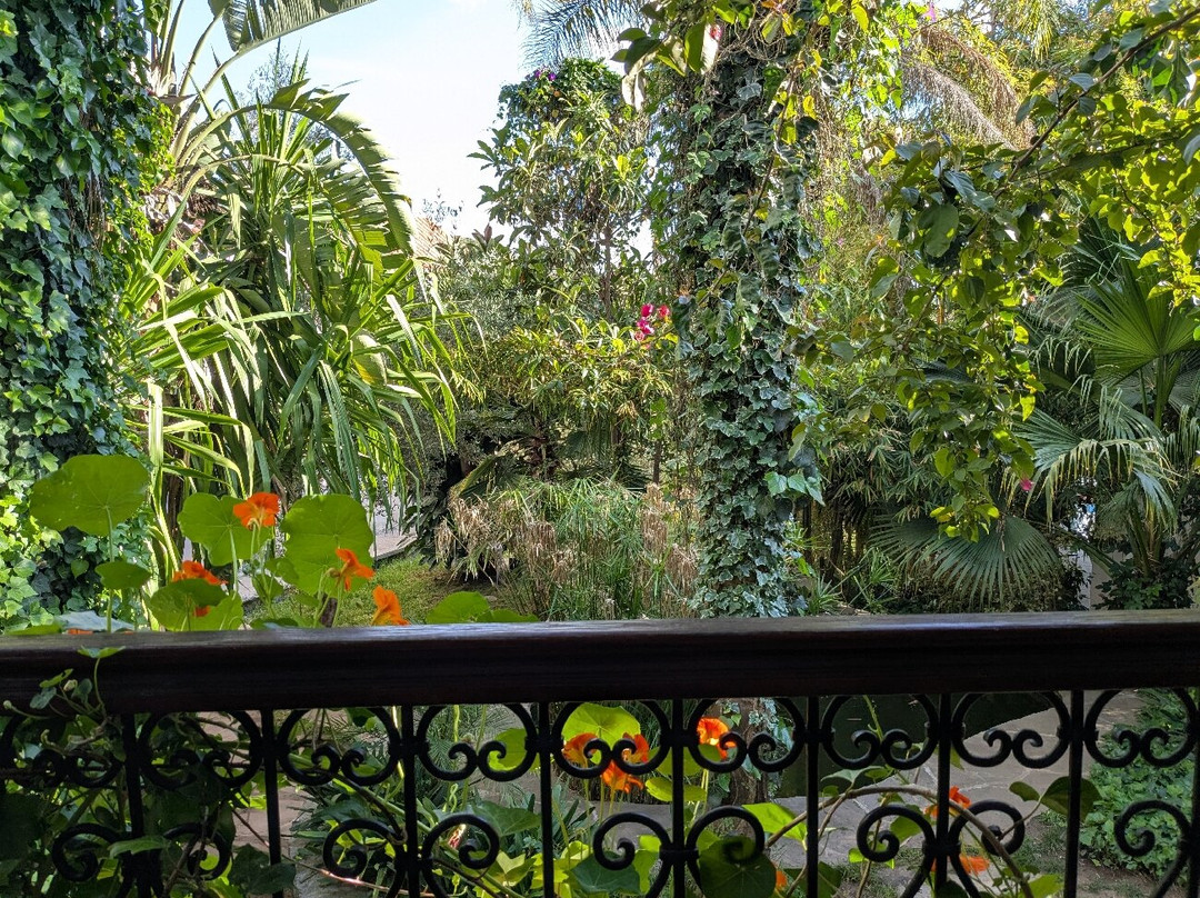 Hotel Molino Garden主图