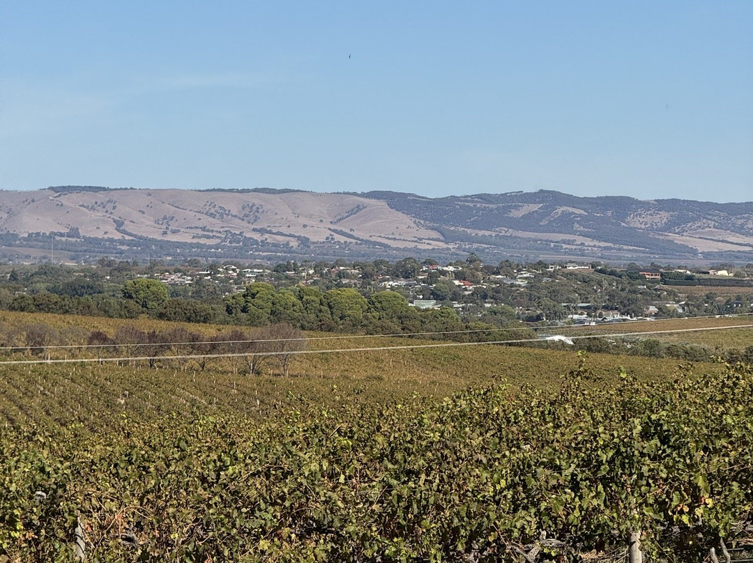 Mollydooker Wines-麦克拉伦谷必去景点