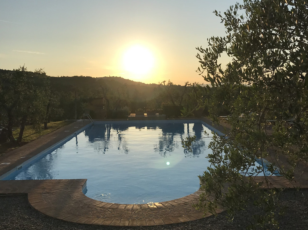 Tenuta Sant'Ilario主图