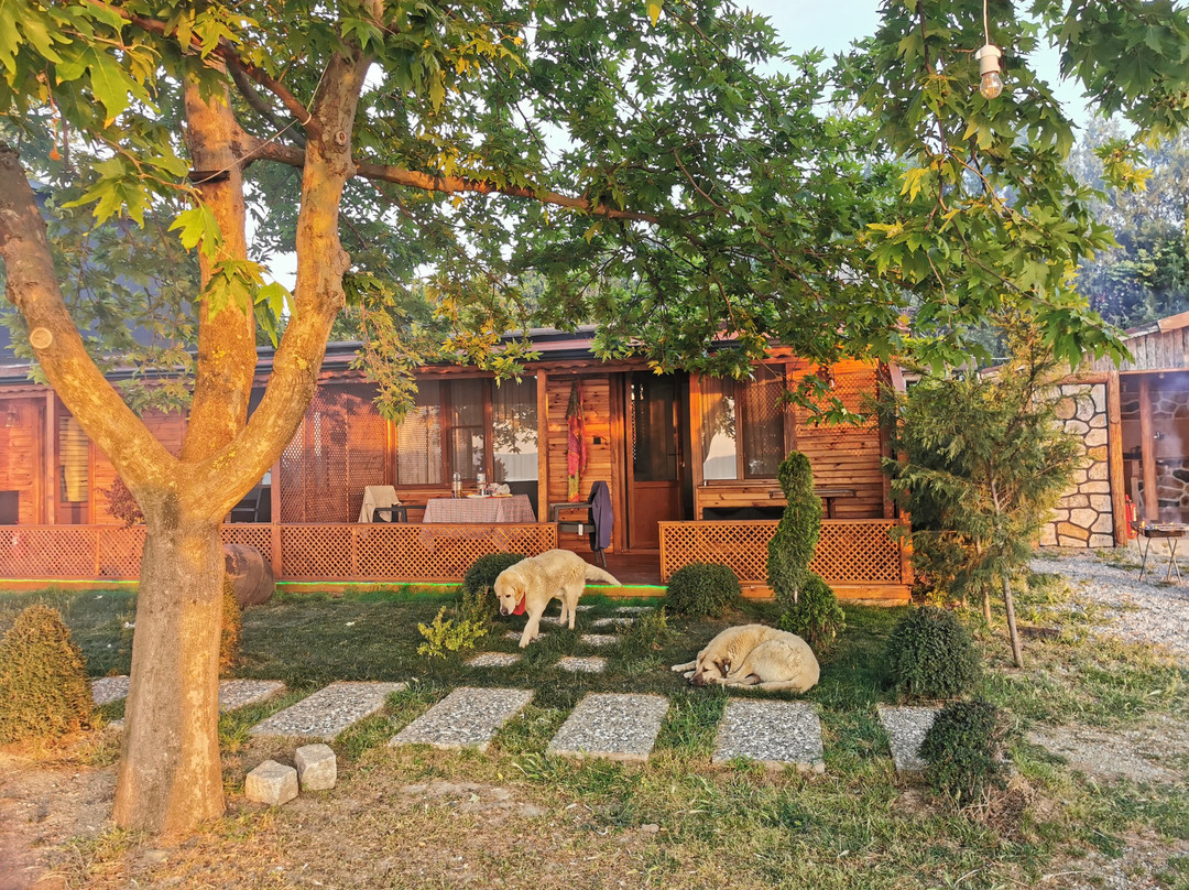 La Cabana Iznik-Iznik必去景点