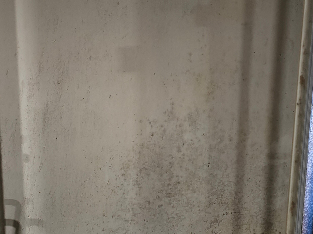 The Fern Residency, Mundra主图