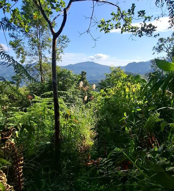 Meratus Mountains-班贾尔马辛必去景点